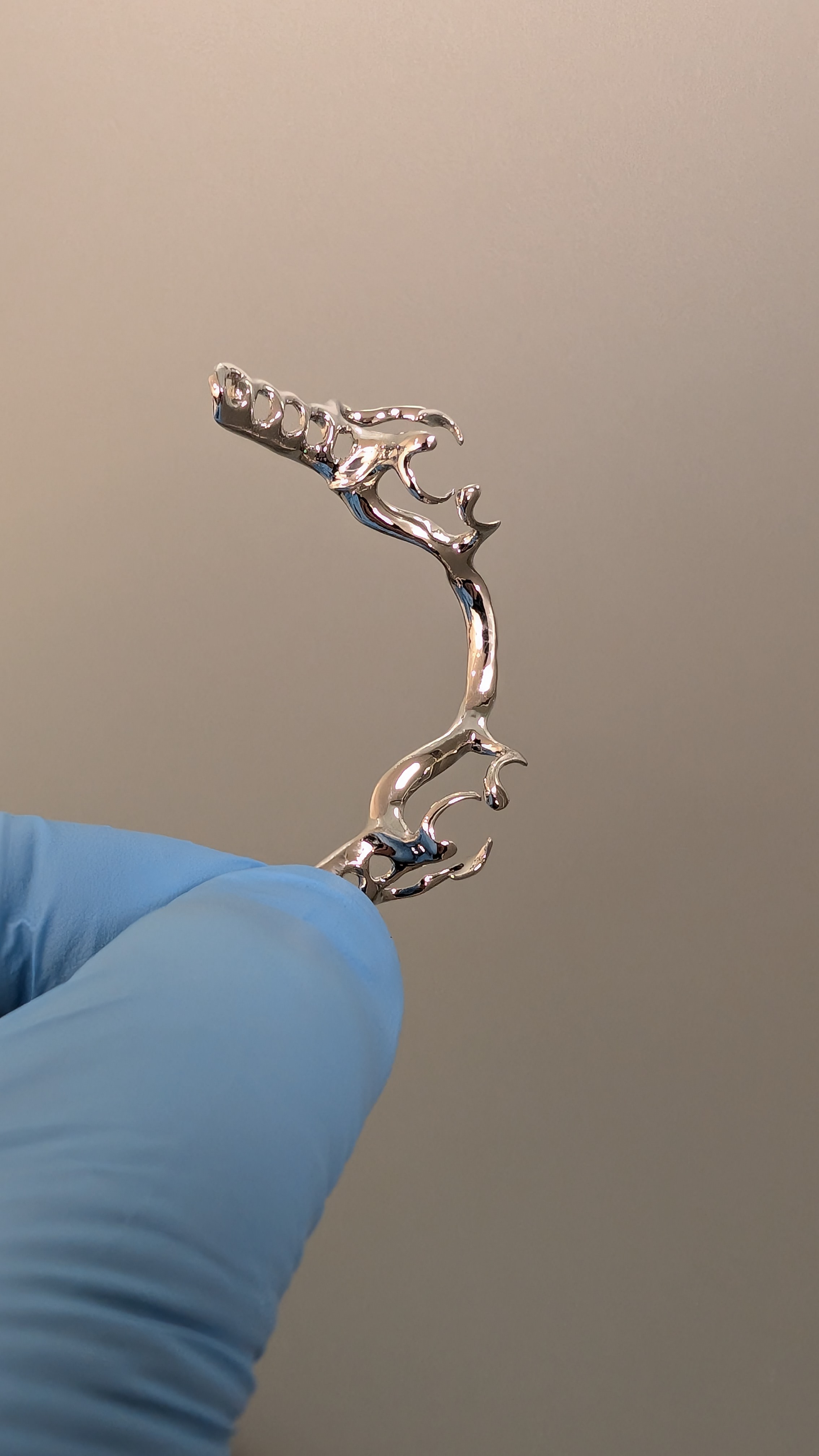 Polished partial framework - alternate view