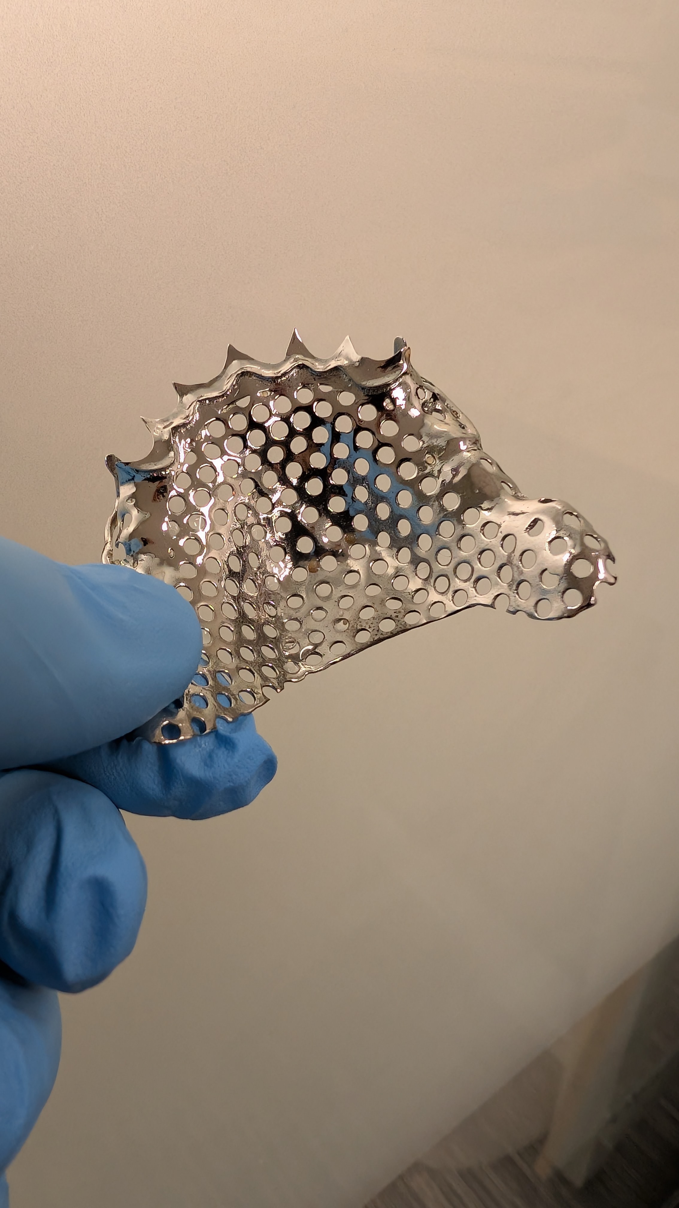 Perforated palatal plate held in blue glove