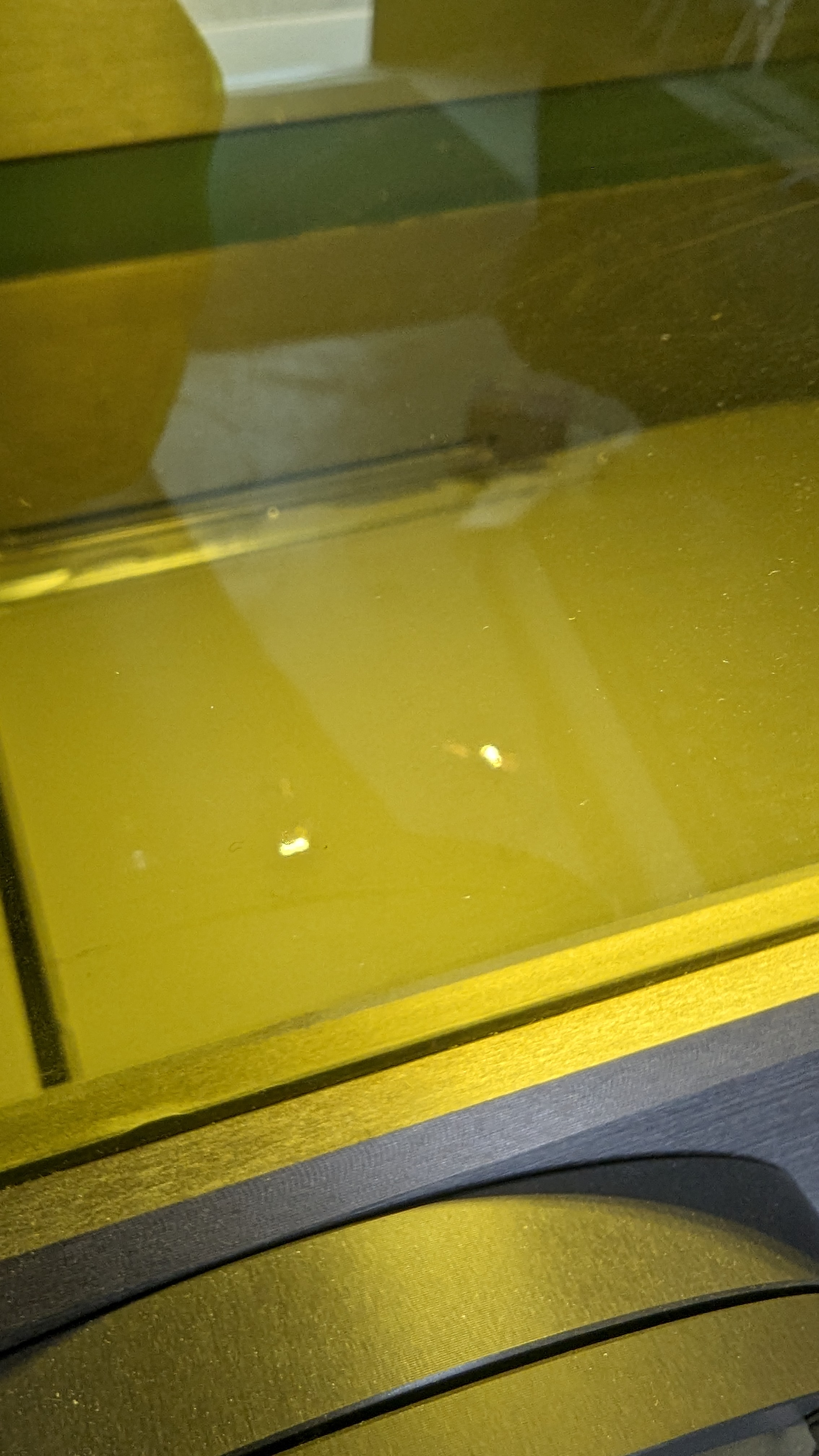 View through 3D metal printer during printing